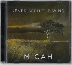 Never Seen the Wind Front cover